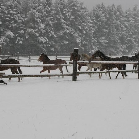 Penzion-Ranc U Trapera Hrabušice Exterior foto